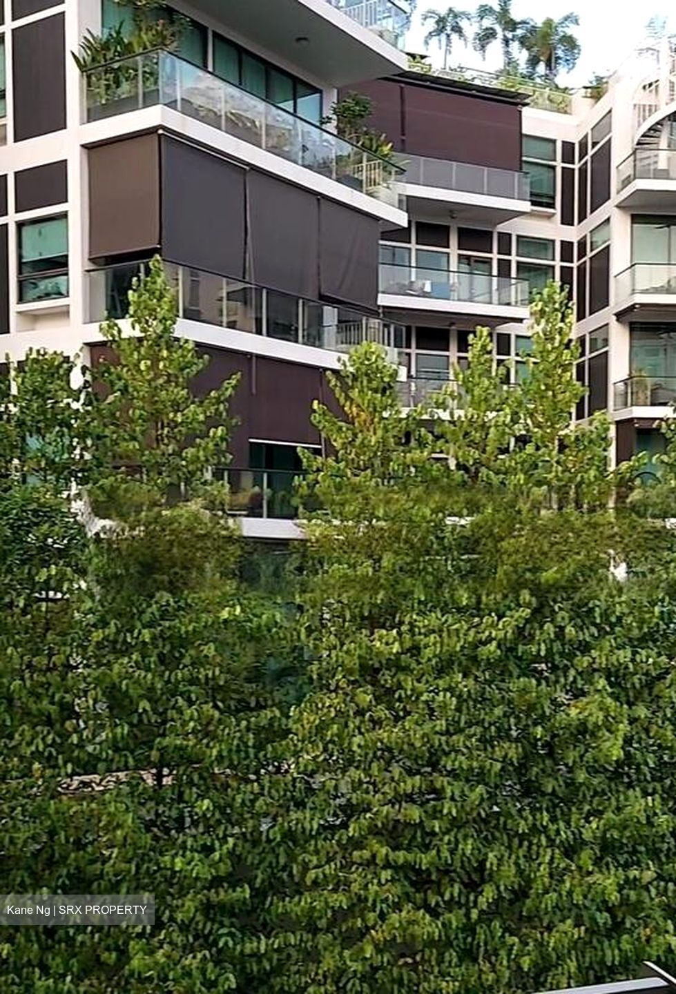 Oxley Edge (D9), Apartment #461540931